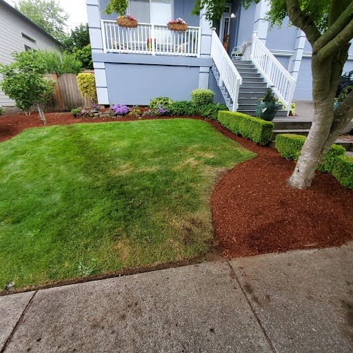 New lawn installation with fresh sod and clean edging, Battle Ground WA